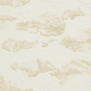 Harlequin Nuovola Wallpaper in Gold/Shell For Sale