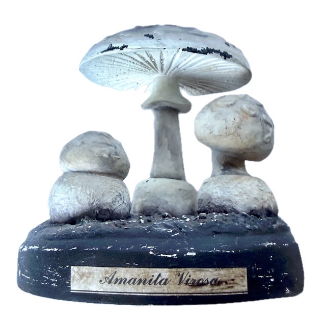 Realism Vintage Botanical Mushroom Study Model For Sale - Image 3 of 4