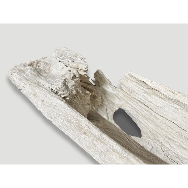 Andrianna Shamaris Sculptural Bleached Teak Wood Vessel For Sale - Image 18 of 18
