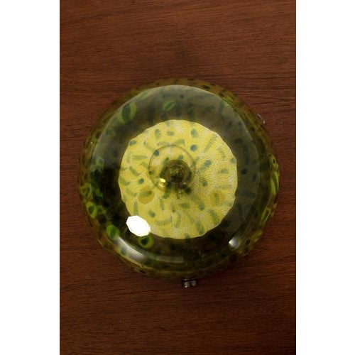 Ceiling Light by Gae Aulenti for Vistosi For Sale - Image 5 of 12