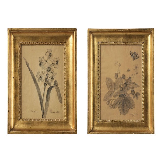 Margaret Trone, Swedish Empire Flower, Paper, Framed, Set of 2 For Sale