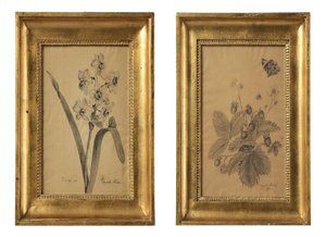 Margaret Trone, Swedish Empire Flower, Paper, Framed, Set of 2