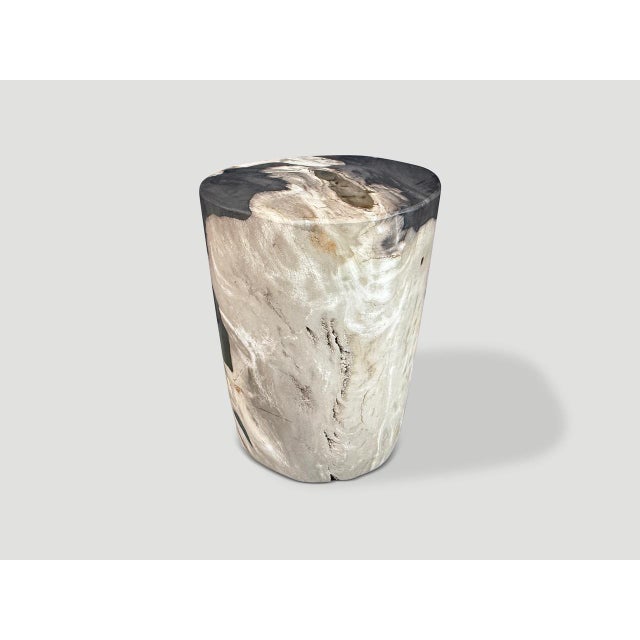 Andrianna Shamaris Modern Organic Petrified Wood Side Table For Sale - Image 4 of 5