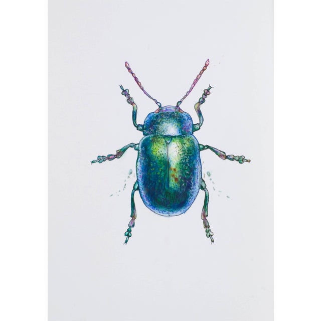 Contemporary Juris Utans, Blue Wonder Beetle, 2021, Mixed Media on Paper For Sale - Image 3 of 3