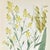Set of 4 Antique Swedish Botanical Prints | Yellow & Green Wildflowers For Sale In Columbus - Image 6 of 9