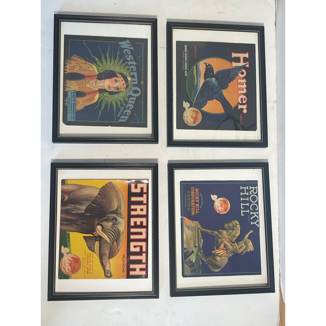 Sunkist Vintage Polychrome Advertisement Posters Framed - Set of 4 For Sale - Image 4 of 8