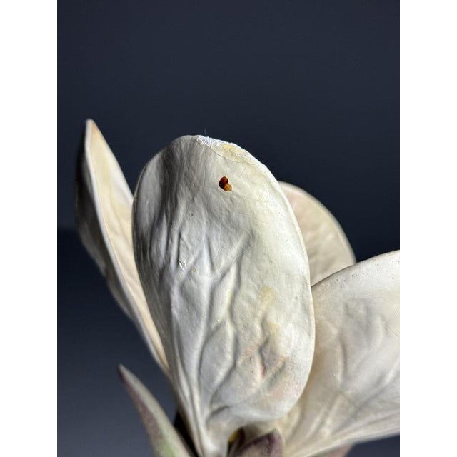 German Botanical Floral Model, 1900 For Sale - Image 3 of 18