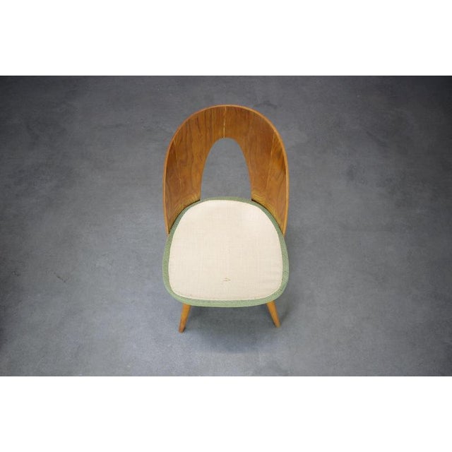 An original Mid-Century Modern chair designed by Antonín Šuman for Tatra Nábytok Pravenec, produced in Czechoslovakia...