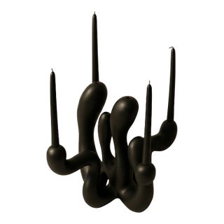 Hold the Light - Black For Sale