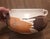 1970s 1970s Royal Haeger "Earth Wrap" Double-Handled Lava Glaze Planter Bowl For Sale - Image 5 of 5