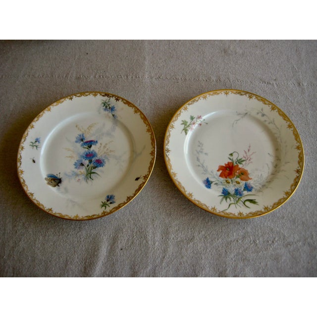 Manufacture de Sevres Set of 12 Sevres Botanical Plates, 1874 For Sale - Image 4 of 12