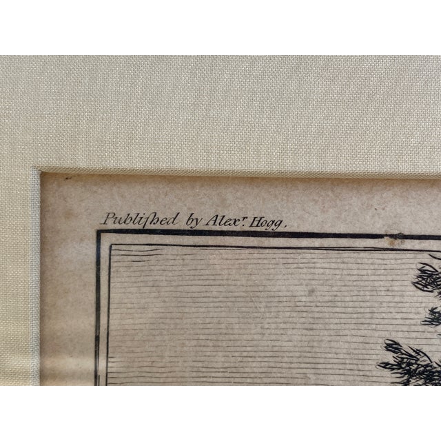 Late 18th Century Antique Engravings From Cook Voyage to Hawaiian Islands For Sale - Image 5 of 9