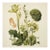 Vintage Botanical Garden Study No. 11 | Botanical Wall Art in Dark Green & Cream For Sale