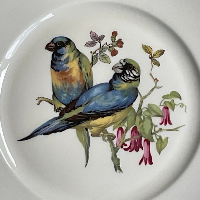 Mid 20th Century Porcelain Song Bird Plates JKW Western Germany, Set of 6 For Sale - Image 12 of 18