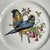 Mid 20th Century Porcelain Song Bird Plates JKW Western Germany, Set of 6 For Sale - Image 12 of 18