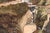 Tan Waterfalls and Mountain Homes - Japanese Landscape 1878 For Sale - Image 8 of 10