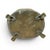 Brass Brass Lions Head & Claw Feet Jardinière Planter For Sale - Image 8 of 14