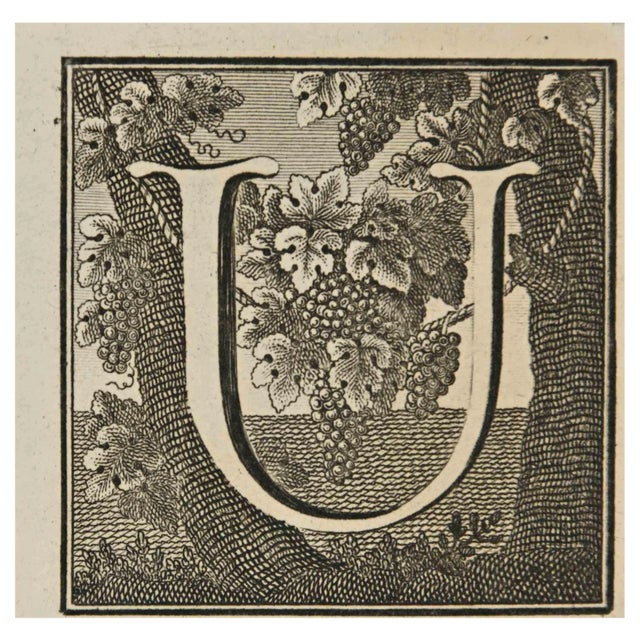 Luigi Vanvitelli, Letter of the Alphabet U, Etching, 18th Century For Sale