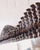 Rustic Black Forest Style Pinecone Frame Mirror With Antique Glass For Sale - Image 3 of 10