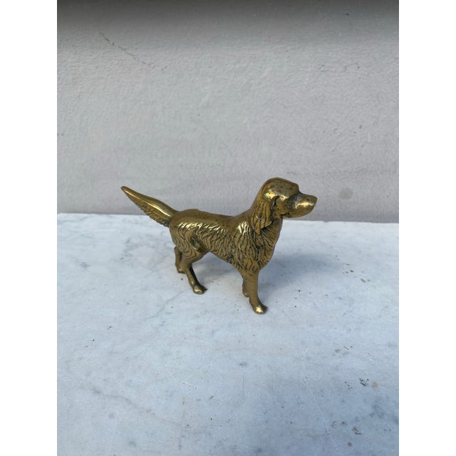 English Brass Hunting Dog Figure. H / 3.8 inches , 5.5 inches by 1 inches.