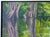 Nancy Paris Pruden "Cypress Creek" Contemporary Naturalistic River Landscape Nature Painting, 2020s For Sale - Image 4 of 10