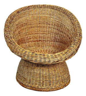 Wicker E 10 Chair by Egon Eiermann, 1960s