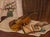 20th Century School, Violin Still Life, Oil on Canvas, illegibly signed "Lahor (?)" lower left, painted wood frame. Image:...