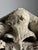 Beige Limestone Coat of Arms For Sale - Image 8 of 16