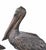 Large Bronze Pelicans Statues, Set of 2 For Sale - Image 11 of 14