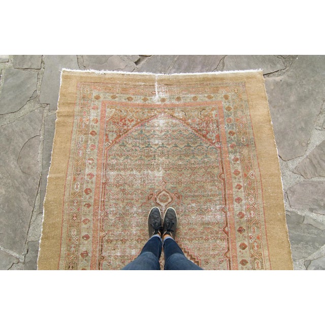1900s Antique Tan Sage Salmon Sarab Hand-Knotted Rug - 6’ X 10’11" For Sale - Image 4 of 10