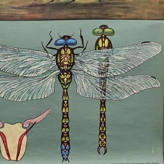 Textile Vintage Mural Blue Dragonfly Poster by Jung Koch Quentell, 1970s For Sale - Image 7 of 8