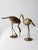 Mid Century Brass Heron Figurines Pair For Sale - Image 4 of 12
