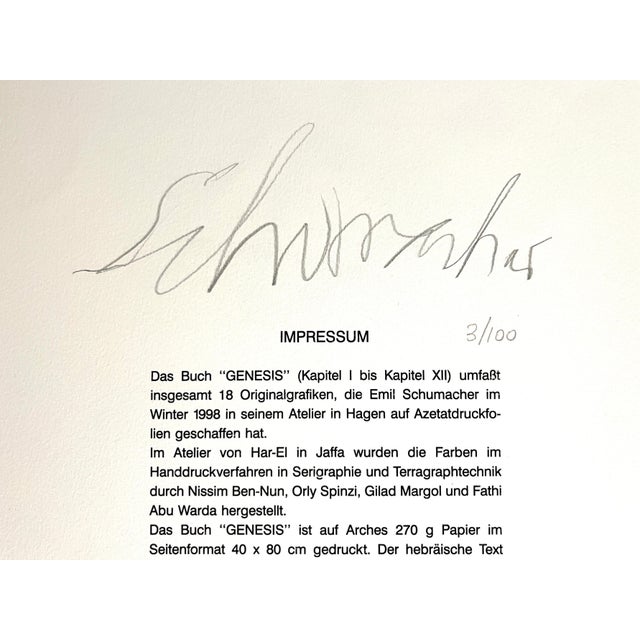 Emil Schumacher, Limited Edition Serigraph Terraraph Print Abstract Art Informel For Sale In Miami - Image 6 of 8