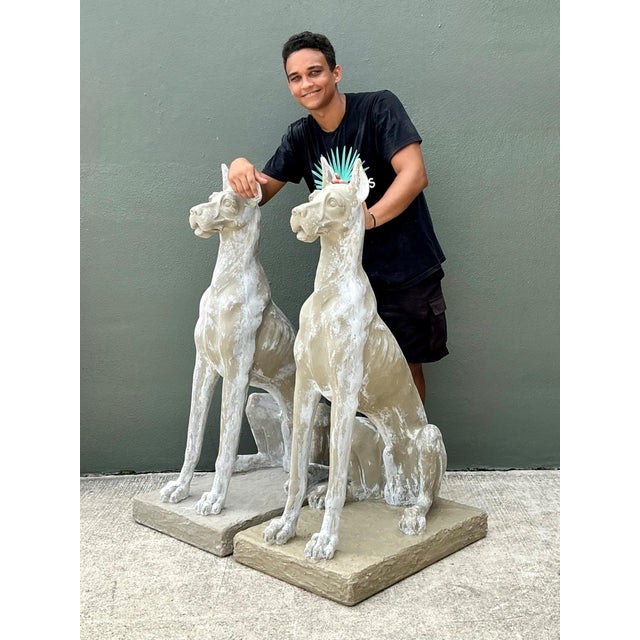 Vintage Eco Plaster Great Dane Sculptures - Pair For Sale - Image 9 of 17