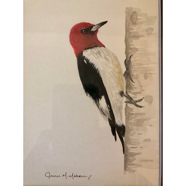 Original Redheaded Woodpecker Watercolor by James Mahoney For Sale - Image 6 of 11