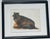 Paint 1970s Set of 4 Watercolor Cat Portraits Framed For Sale - Image 7 of 9