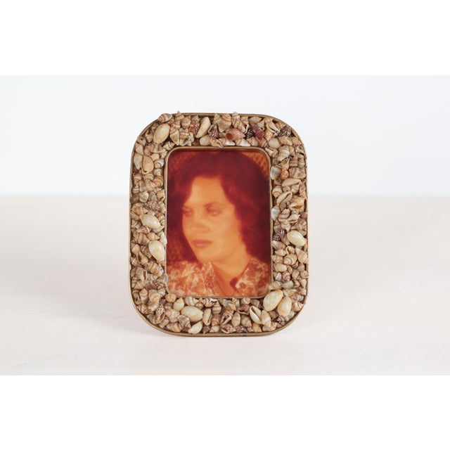 Vintage photo frame covered in hand-applied mixed seashells — turritella, cowrie, and small spiral varieties — set in a...