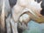 Matthew Paoletti "WI. Dairy Cow" Contemporary Naturalistic Rural Animal Painting of a Cow, 2022 For Sale - Image 11 of 11
