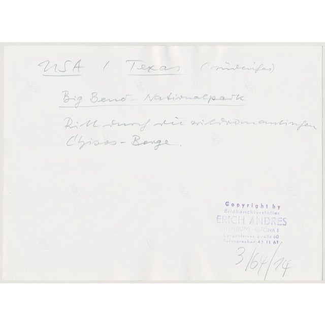 Cowboys on Horses, USA, 1960s, Black & White Photograph For Sale - Image 4 of 5