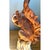 Vintage Ceramic Woodland Squirrel Figures For Sale - Image 12 of 12