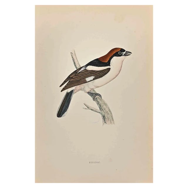 Alexander Francis Lydon, Woodchat, Woodcut Print, 1870 For Sale