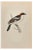 Alexander Francis Lydon, Woodchat, Woodcut Print, 1870 For Sale
