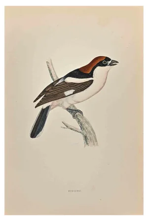 Alexander Francis Lydon, Woodchat, Woodcut Print, 1870