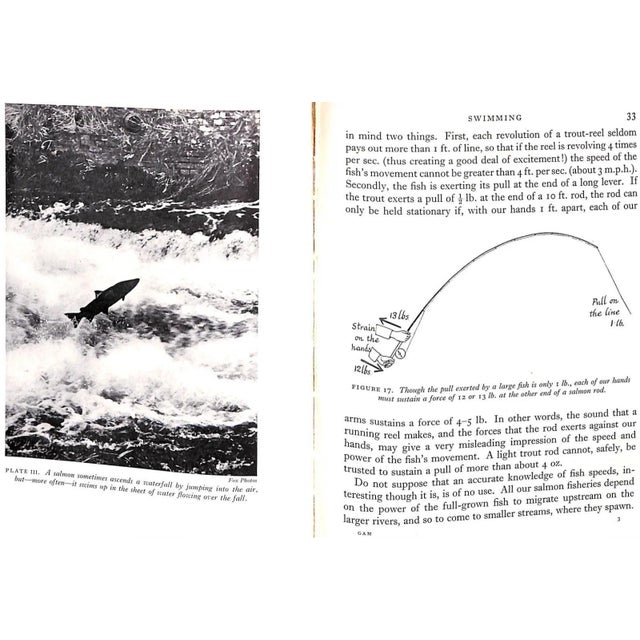 "How Animals Move: The Royal Institution Christmas Lectures 1951" 1953 Gray, James For Sale In New York - Image 6 of 11