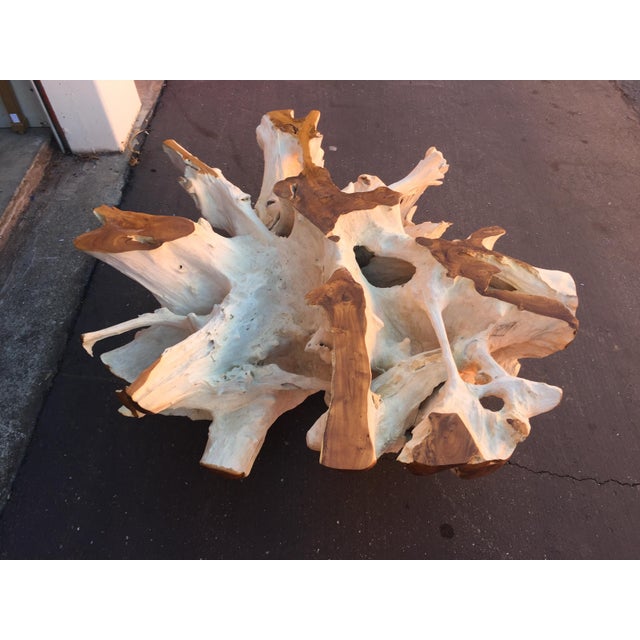 Teak Driftwood Coffee Table Chairish
