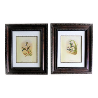 Pair of John Gould Humming Bird Lithographs Prints 1st Edition Framed For Sale