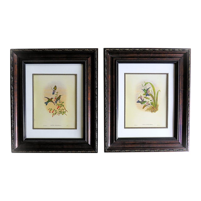 Pair of John Gould Humming Bird Lithographs Prints 1st Edition Framed For Sale