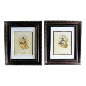 Pair of John Gould Humming Bird Lithographs Prints 1st Edition Framed