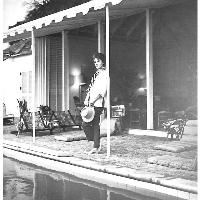 "The Original Bill Paley" 1996 Paley, Kate For Sale - Image 14 of 16