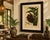 Hoola van Nooten, Salak Palm Botanical, 1880, Chromolithograph For Sale - Image 9 of 10